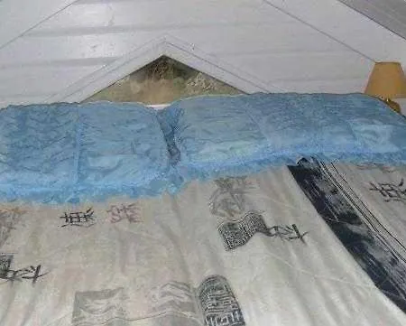 Ferienhaus Tiny 2 *